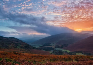 英雄联盟：双城之战 第二季(2024)