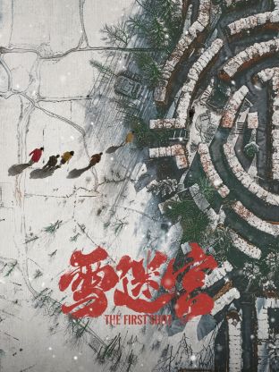 雪迷宫(2024)