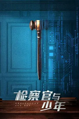 检察官与少年(2025)