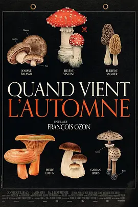 秋日何时来(2024)