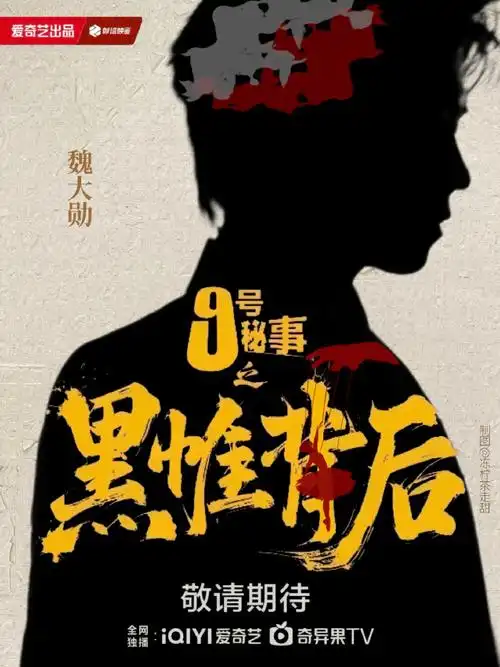 九号秘事之黑帷背后(2025)