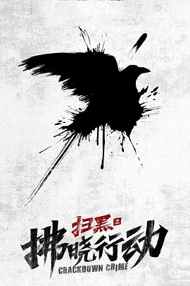 扫黑之拂晓行动 (2025)