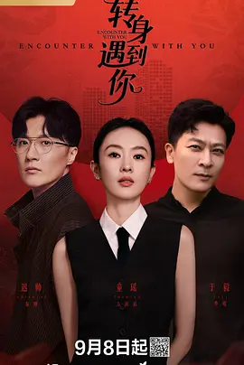 转身遇到你 (2016)