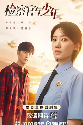 检察官与少年 (2025)