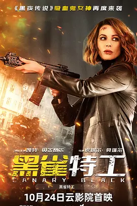 黑雀特工 (2024)